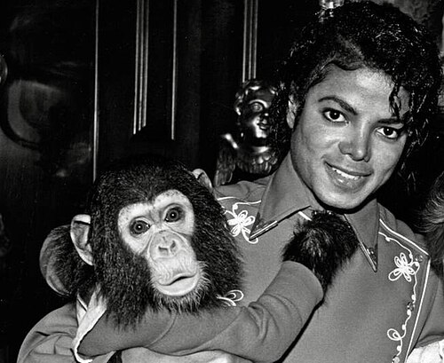 Michael Jackson fuori dai riflettori